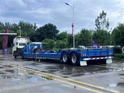 Prikolica s niskim ležajem s guščjim vratom